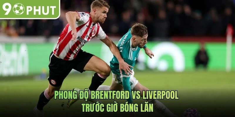 Phong độ Brentford vs Liverpool trước giờ bóng lăn